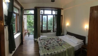 Манали: Tourist Hotel