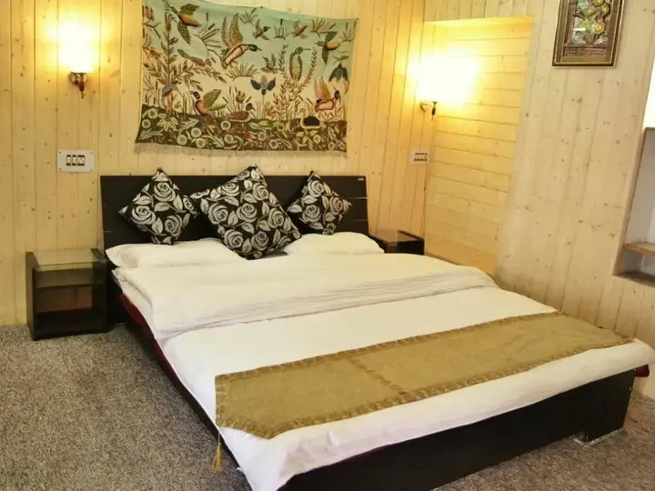 Шринагар: Walisons Hotel