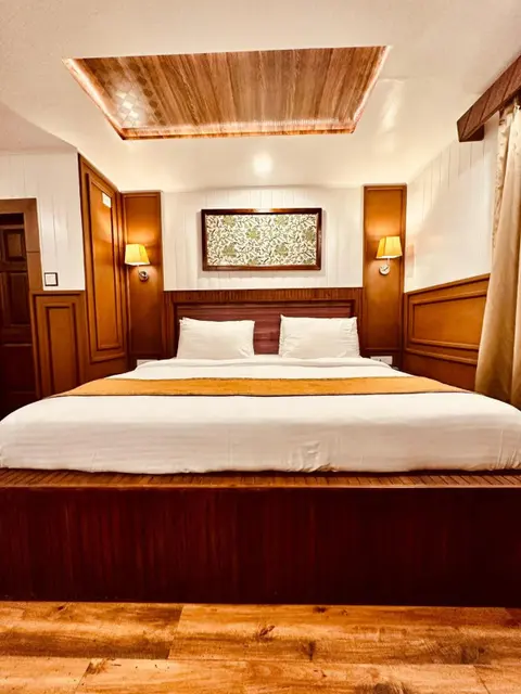 Шринагар: Walisons Hotel