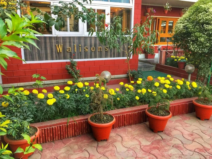 Шринагар: Walisons Hotel
