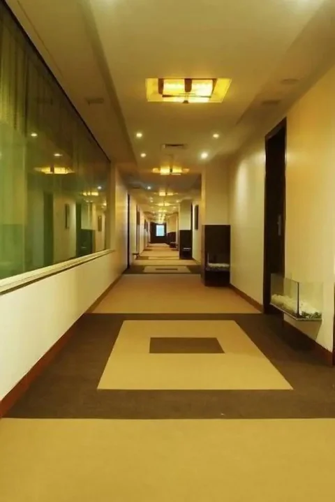 Вакад: Hotel Ambience Executive