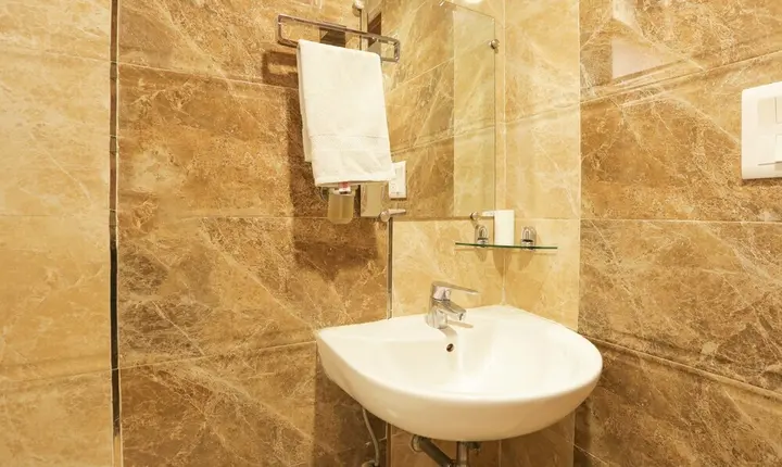 Нью-Дели: Hotel Balsons International