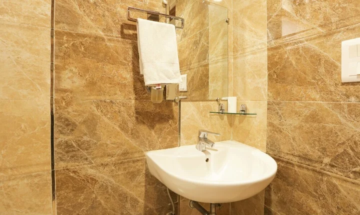 Нью-Дели: Hotel Balsons International