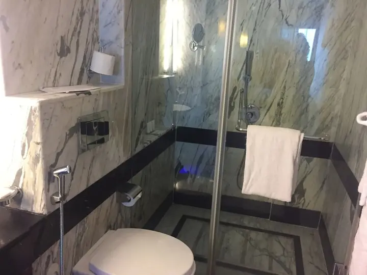Коимбатур: Le Meridien Coimbatore