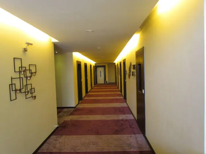 Hotel Pine Spring Srinagar Wazir Bagh — фото 5