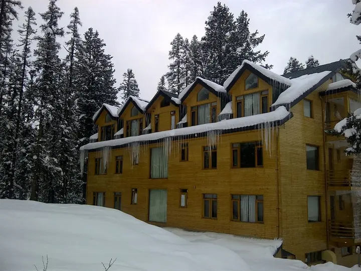 Гульмарг: Hotel Pine Spring Gulmarg