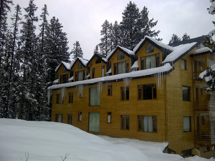 Гульмарг: Hotel Pine Spring Gulmarg
