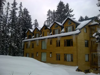 Гульмарг: Hotel Pine Spring Gulmarg