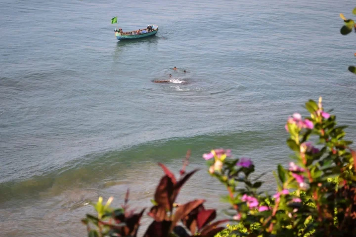 Варкала: Savithri Inn Bamboo Cottages & Resorts
