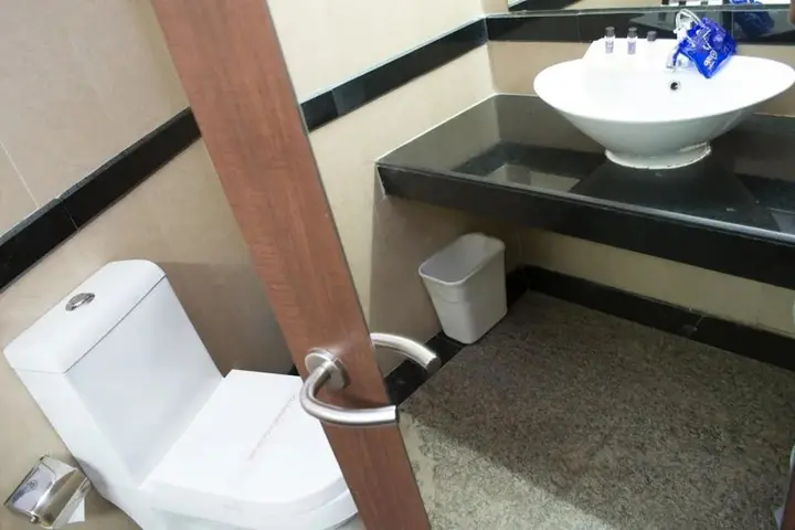 Бхубанешвар: Hotel Seetal