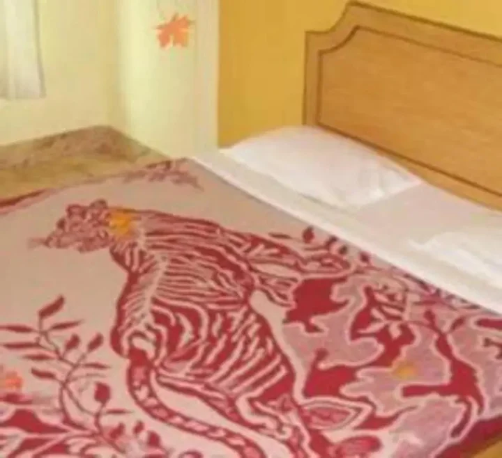 Пури: Hotel Rumani