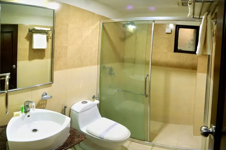 Удаипур: Hotel Royal Palm - A Budget Hotel in Udaipur