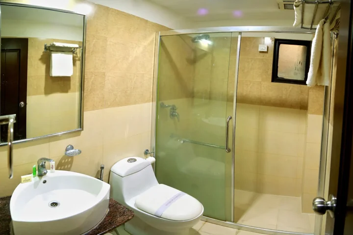 Удаипур: Hotel Royal Palm - A Budget Hotel in Udaipur