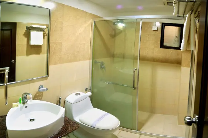 Удаипур: Hotel Royal Palm - A Budget Hotel in Udaipur