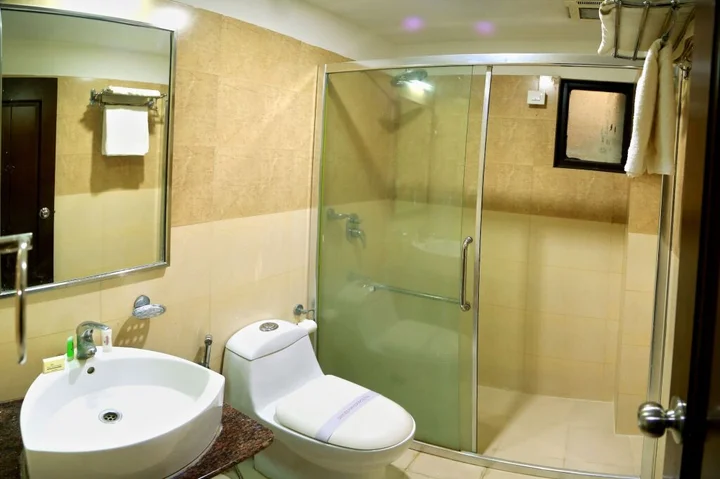 Удаипур: Hotel Royal Palm - A Budget Hotel in Udaipur