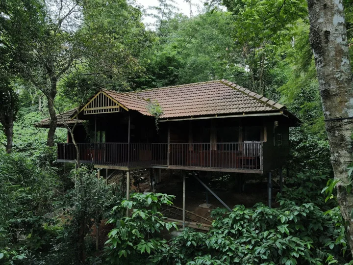 Султан-Батери: Planet Green Plantation Resorts, Wayanad, Kerala