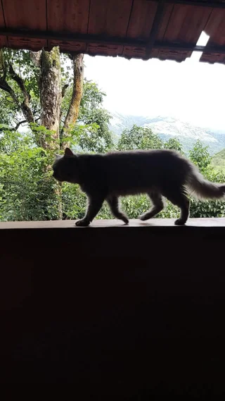 Султан-Батери: Planet Green Plantation Resorts, Wayanad, Kerala