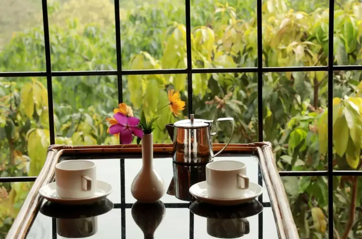Султан-Батери: Planet Green Plantation Resorts, Wayanad, Kerala