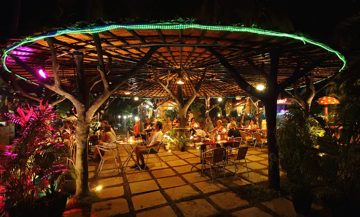 Южный Гоа: Отель Alagoa Resort