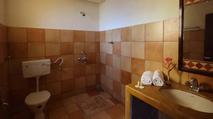 Южный Гоа: Отель Alagoa Resort