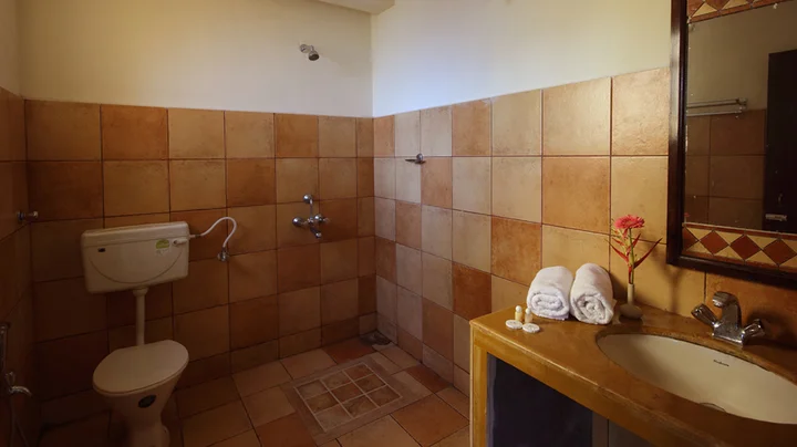 Южный Гоа: Отель Alagoa Resort