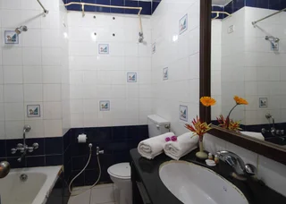 Южный Гоа: Отель Alagoa Resort