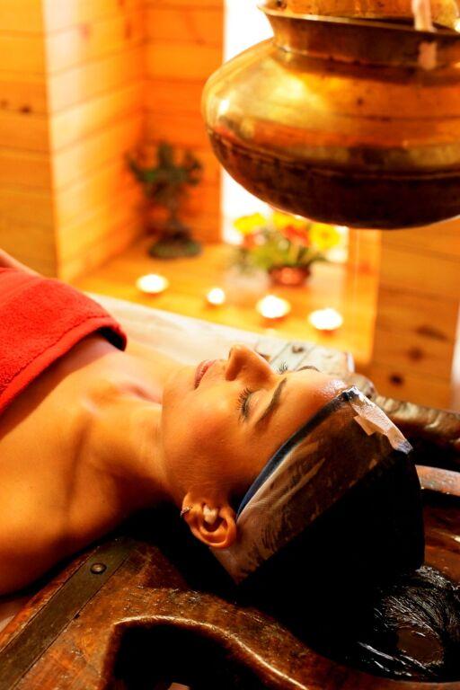 Манали: Manuallaya The Resort Spa in the Himalayas