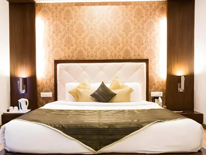 Ахмедабад: Treatotel