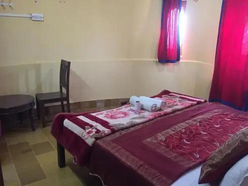Sagar Guest House — фото 4