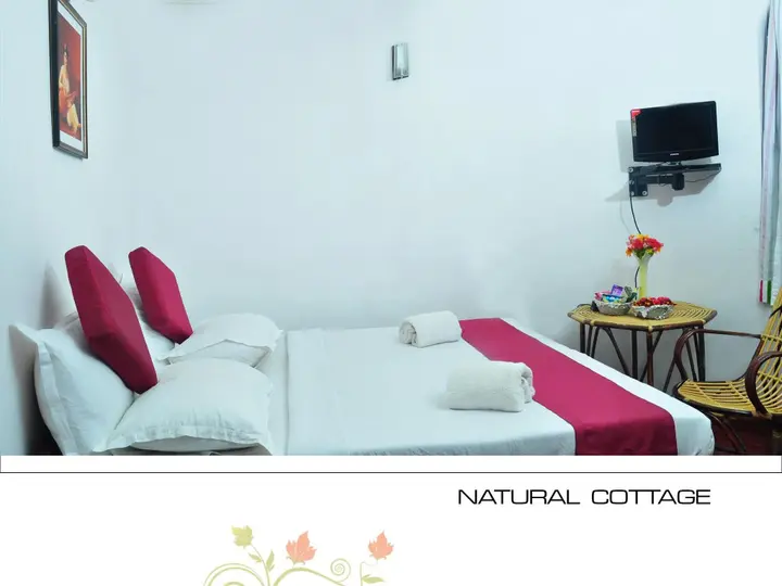 Рамаккалмеду: Punarjani Ayurvedic Resorts