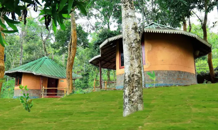 Рамаккалмеду: Punarjani Ayurvedic Resorts