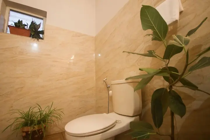 Варкала: Kshetra Boutique Retreat, Varkala