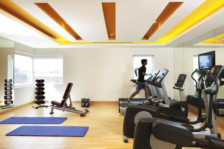 Нашик: ibis Nashik Hotel