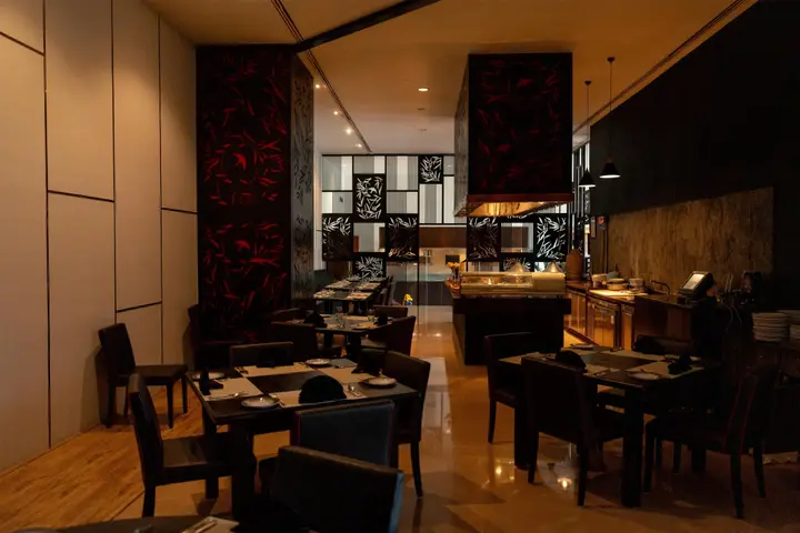 Хидерабад: Radisson Blu Plaza Hotel Hyderabad Banjara Hills
