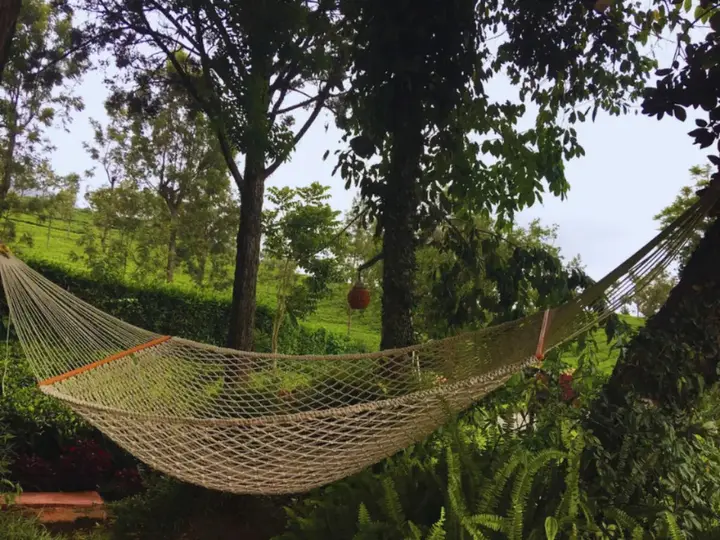 Кунур: Teanest – Nature Resorts, Coonoor