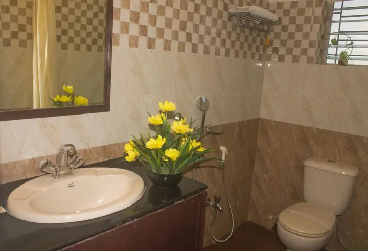 Колката: Wise Owl Comfotel