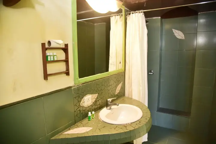 Калангут: Sharanam Green Resort