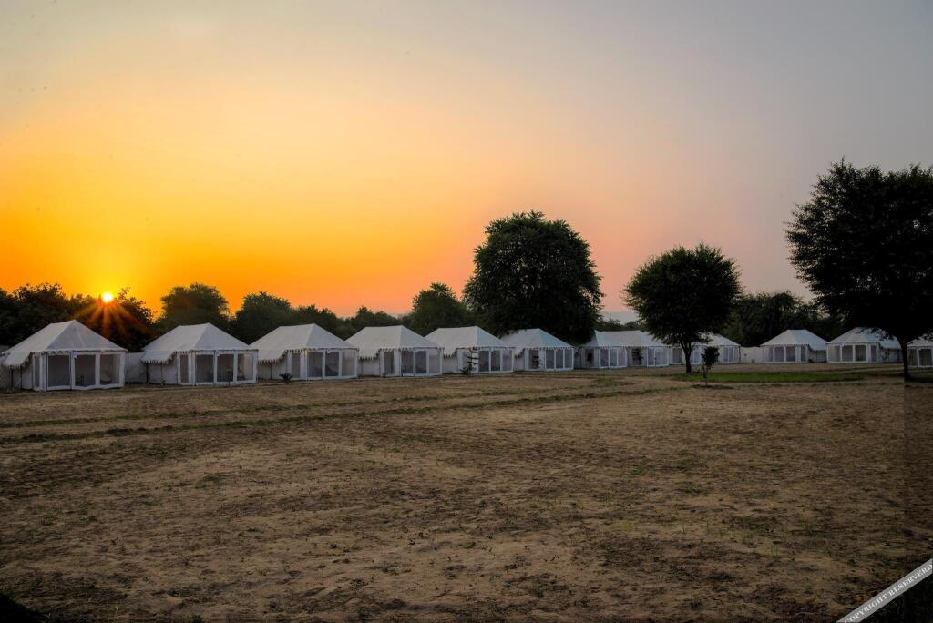 Пушкар: Royal Safari Camp