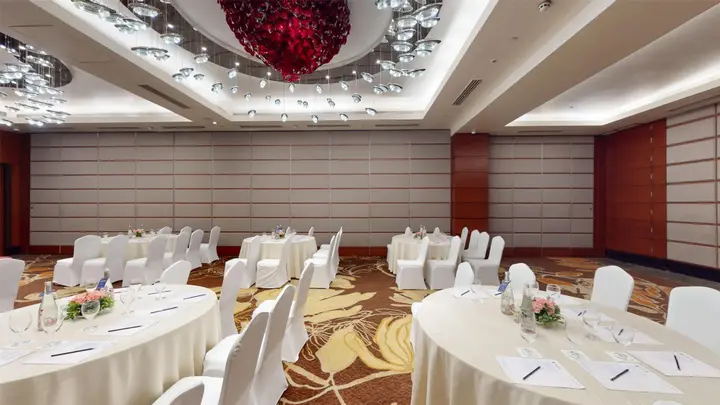 Нагпур: Radisson Blu Hotel Nagpur