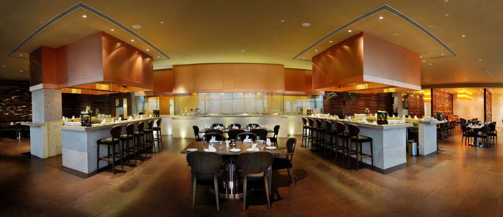 Нью-Дели: Radisson Blu Hotel New Delhi Paschim Vihar