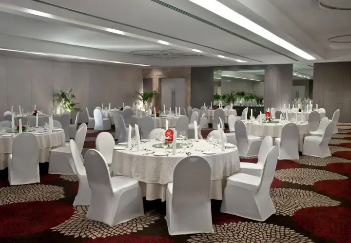 Ченнаи: Le Royal Meridien Chennai