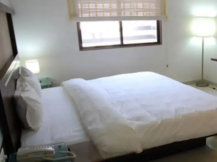 Вадодара: Sapphire Regency Hotel