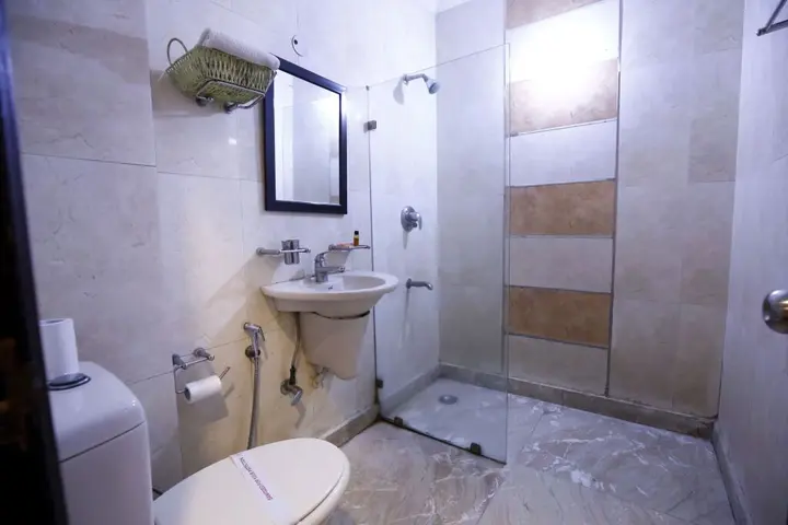 Нью-Дели: Hotel Paradise Inn