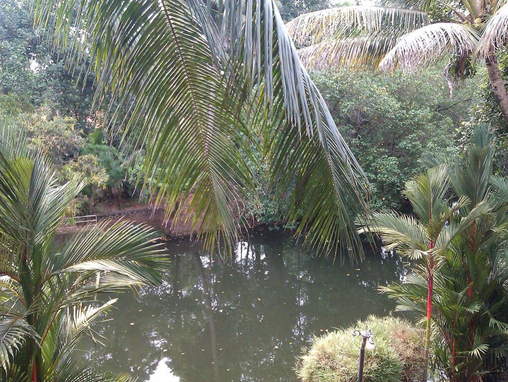Коттаям: Backwater Retreat