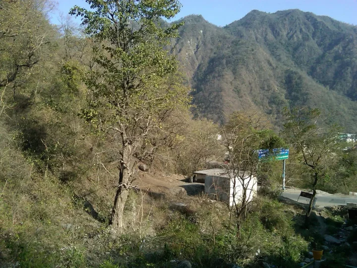 Ришикеш: Rishikesh Sadan A Yoga and Spritual Retreat