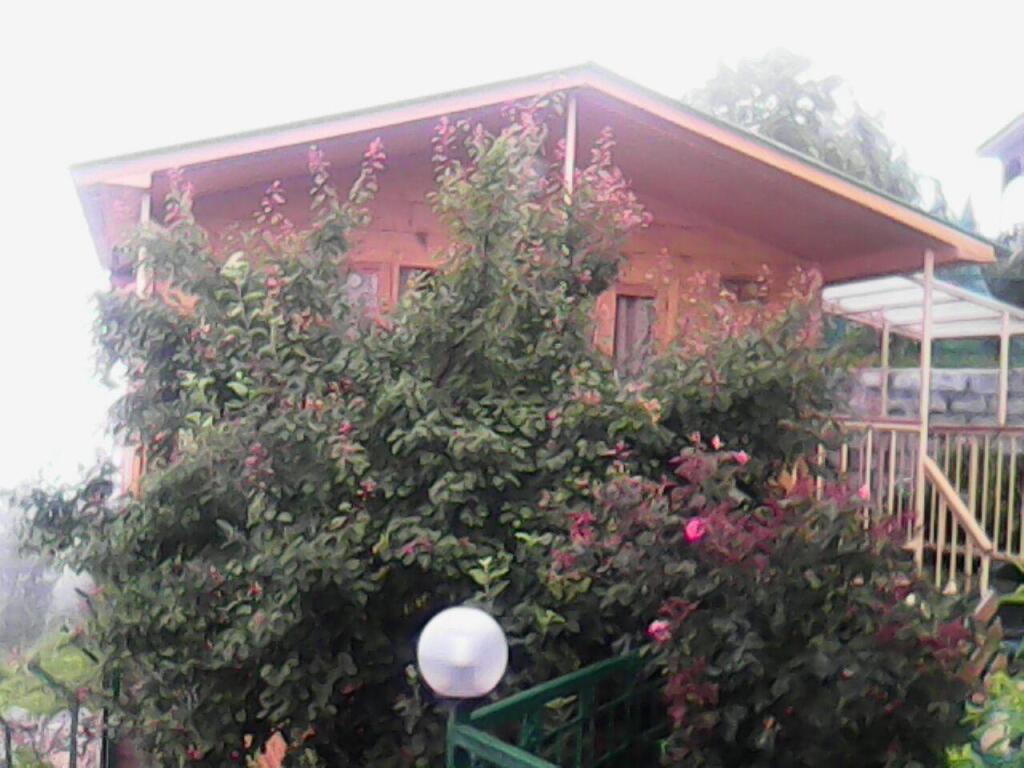 Куфри: Snow King Retreat