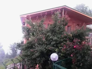Куфри: Snow King Retreat