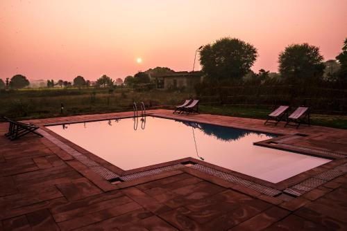 Савай-Мадхопур: Ranthambore Tiger Machan Resort