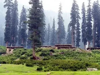 Пахалгам: Paradise Camping Resort