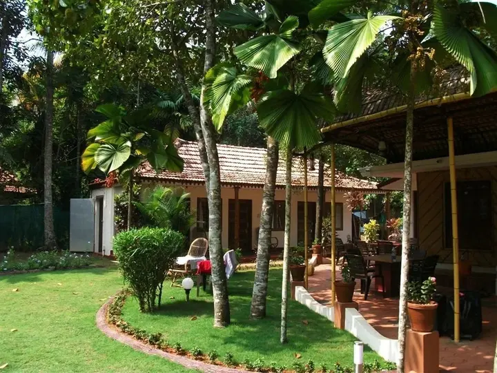 Аллеппи: Vedanta Wake Up - Backwaters